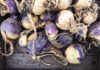 Pick Up Rutabaga On Your Next Trip To The Market