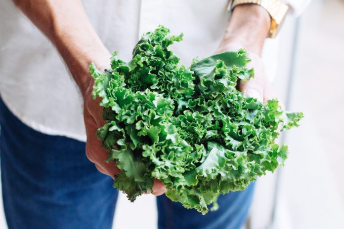 Man holding healthy kale