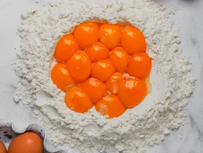 Egg yolk uses