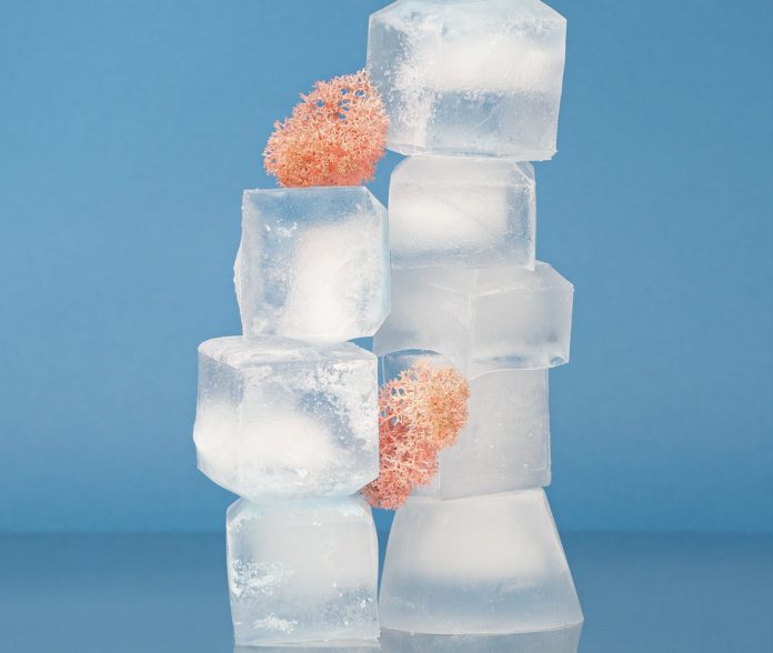 Ice cube unusual uses