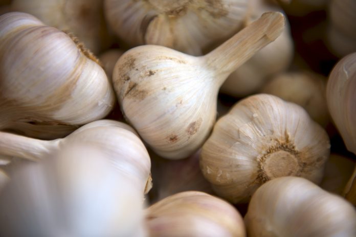 Garlic tips