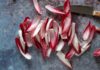 Endive Recipes to Dive Into Endive
