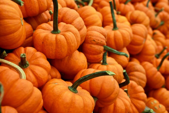 Pumpkins