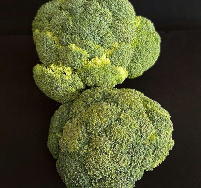 broccoli